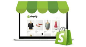 shopify store development