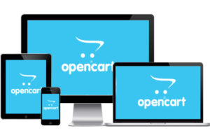 OpenCart Development Company